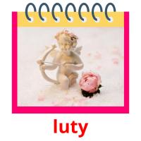 luty picture flashcards