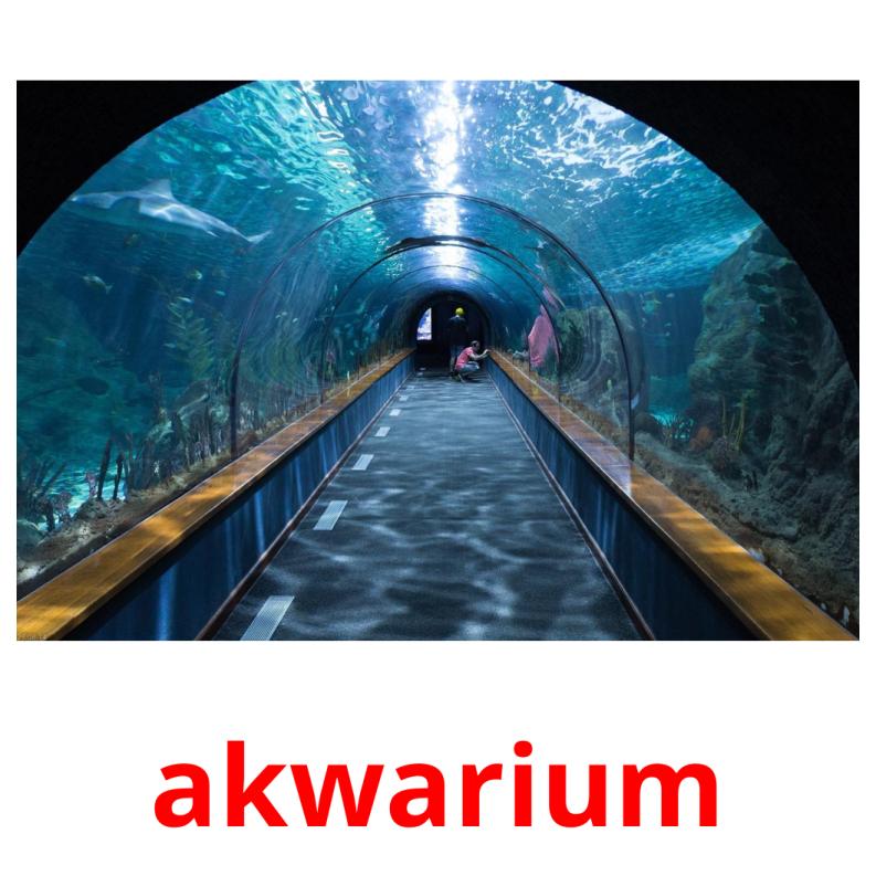 akwarium picture flashcards