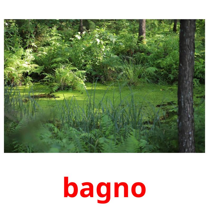 bagno picture flashcards