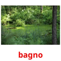 bagno flashcards illustrate