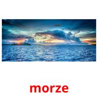 morze card for translate