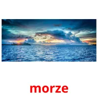 morze flashcards illustrate