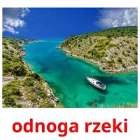 odnoga rzeki flashcards illustrate