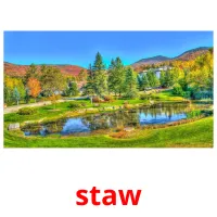 staw flashcards illustrate