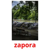 zapora flashcards illustrate