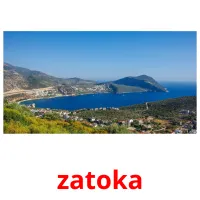 zatoka flashcards illustrate