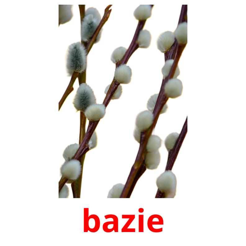 bazie picture flashcards