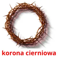 korona cierniowa Bildkarteikarten