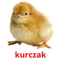kurczak flashcards illustrate