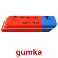 gumka flashcards illustrate
