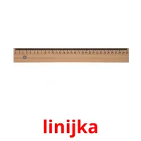 linijka picture flashcards