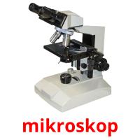mikroskop picture flashcards