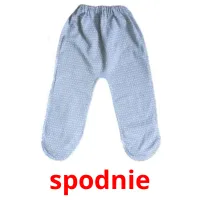 spodnie picture flashcards