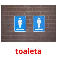 toaleta flashcards illustrate