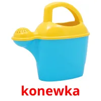 konewka picture flashcards