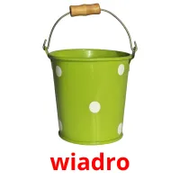 wiadro picture flashcards