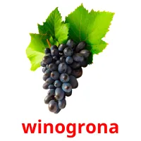 winogrona cartões com imagens