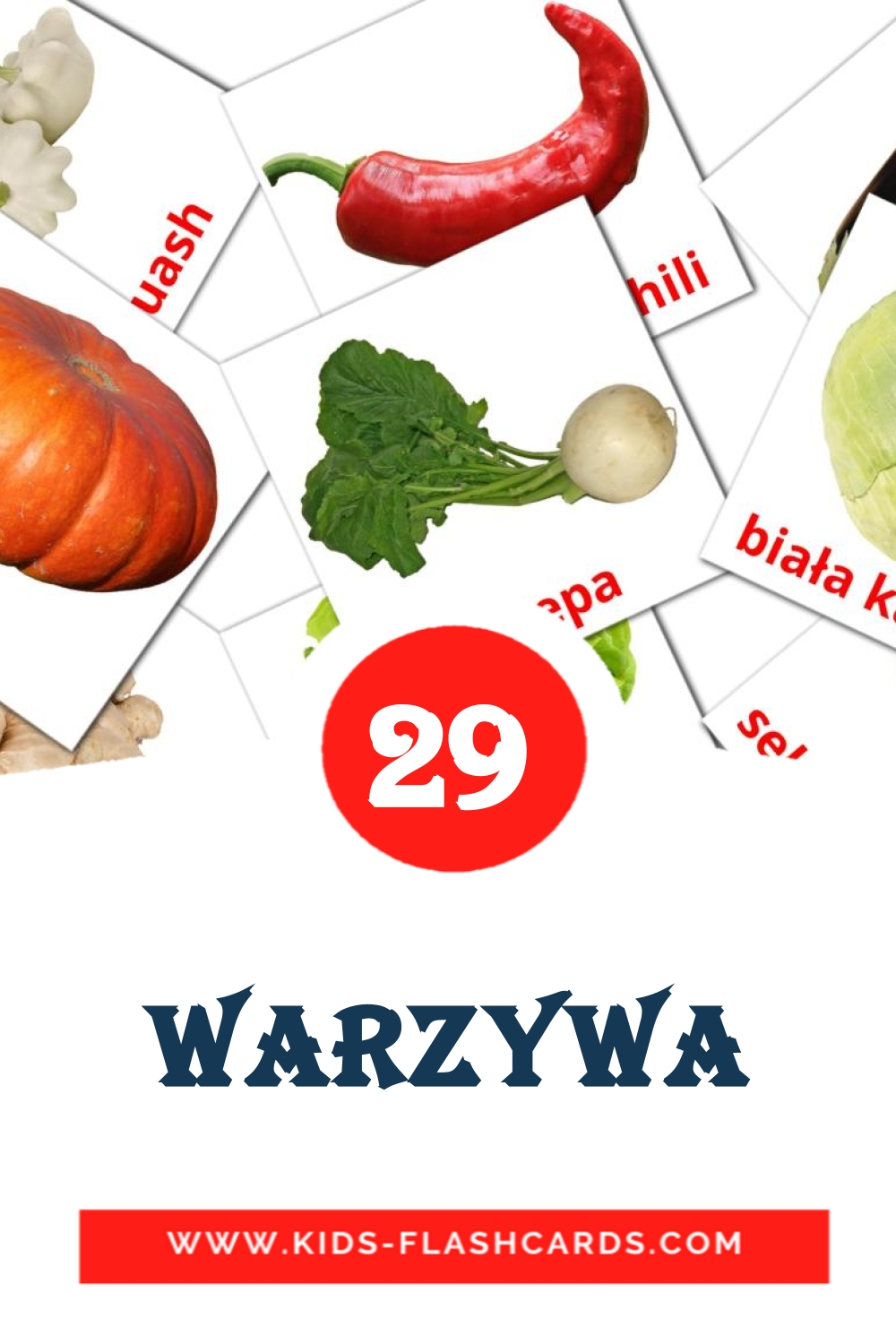 29 Warzywa Picture Cards for Kindergarden in polish