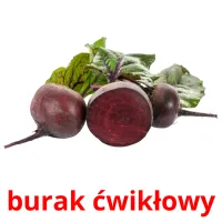 burak ćwikłowy picture flashcards