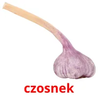 czosnek picture flashcards