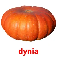 dynia picture flashcards