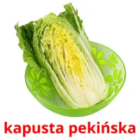 kapusta pekińska picture flashcards