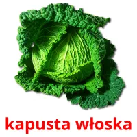 kapusta włoska picture flashcards