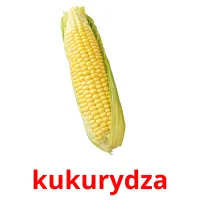 kukurydza picture flashcards