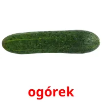 ogórek picture flashcards