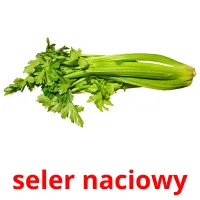 seler naciowy picture flashcards