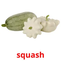 squash picture flashcards