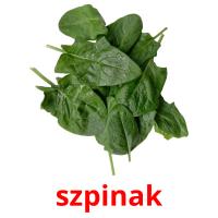 szpinak picture flashcards