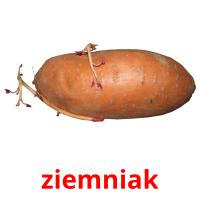 ziemniak карточки энциклопедических знаний