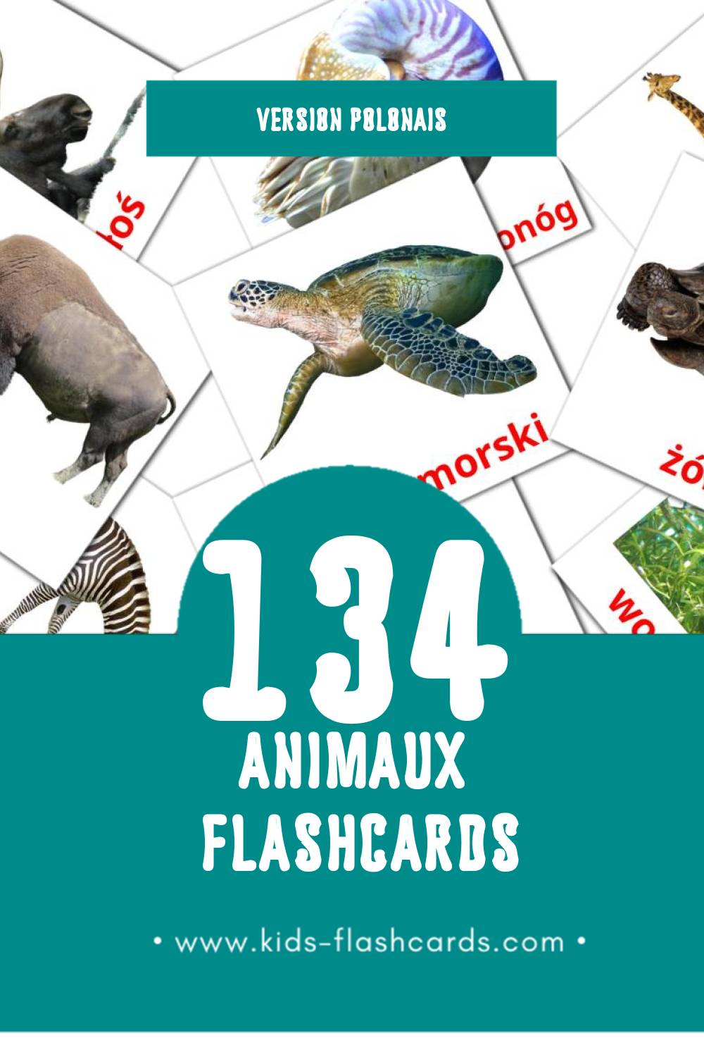Flashcards Visual zwierzęta pour les tout-petits (134 cartes en Polonais)