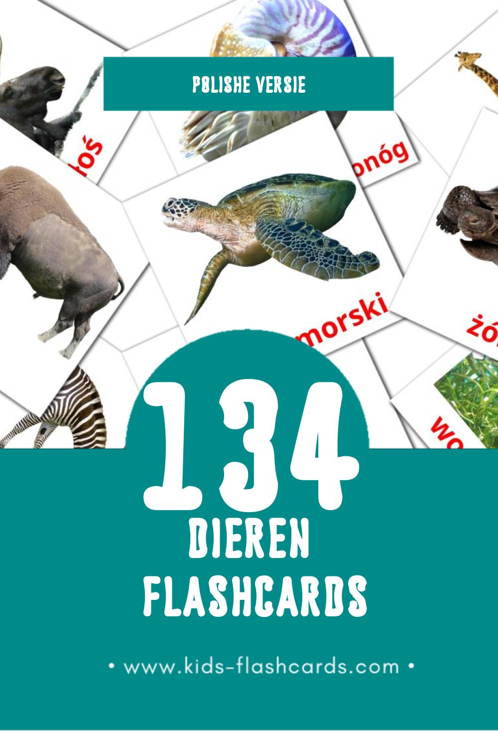 Visuele zwierzęta Flashcards voor Kleuters (134 kaarten in het Polish)