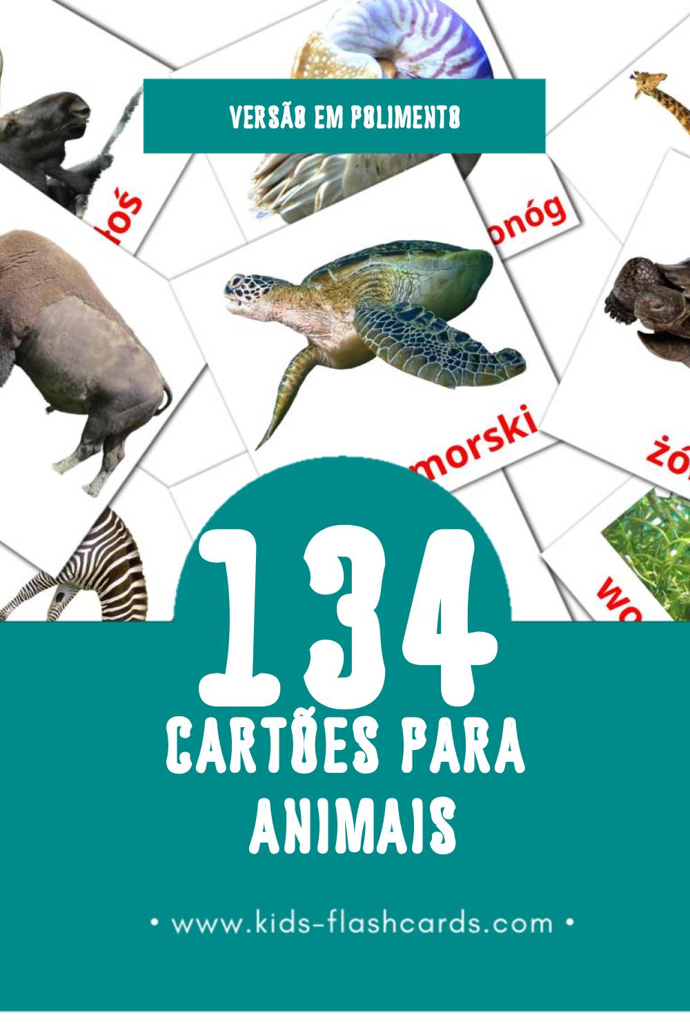 Flashcards de zwierzęta Visuais para Toddlers (134 cartões em Polimento)