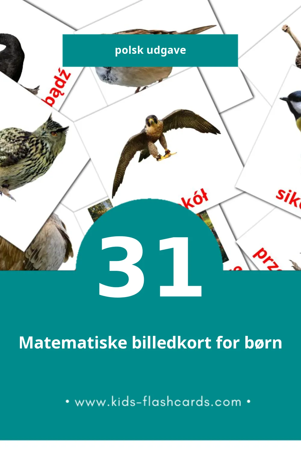 Visuelle billedkort for børn om Ptaki til småbørn (31 kort på Polsk)