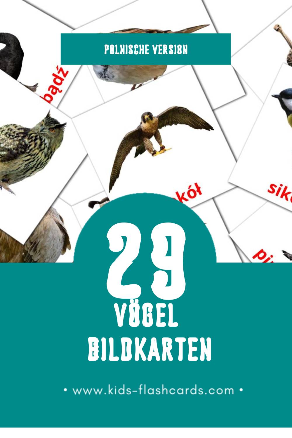 Visual Ptaki Flashcards für Kleinkinder (29 Karten in Polnisch)