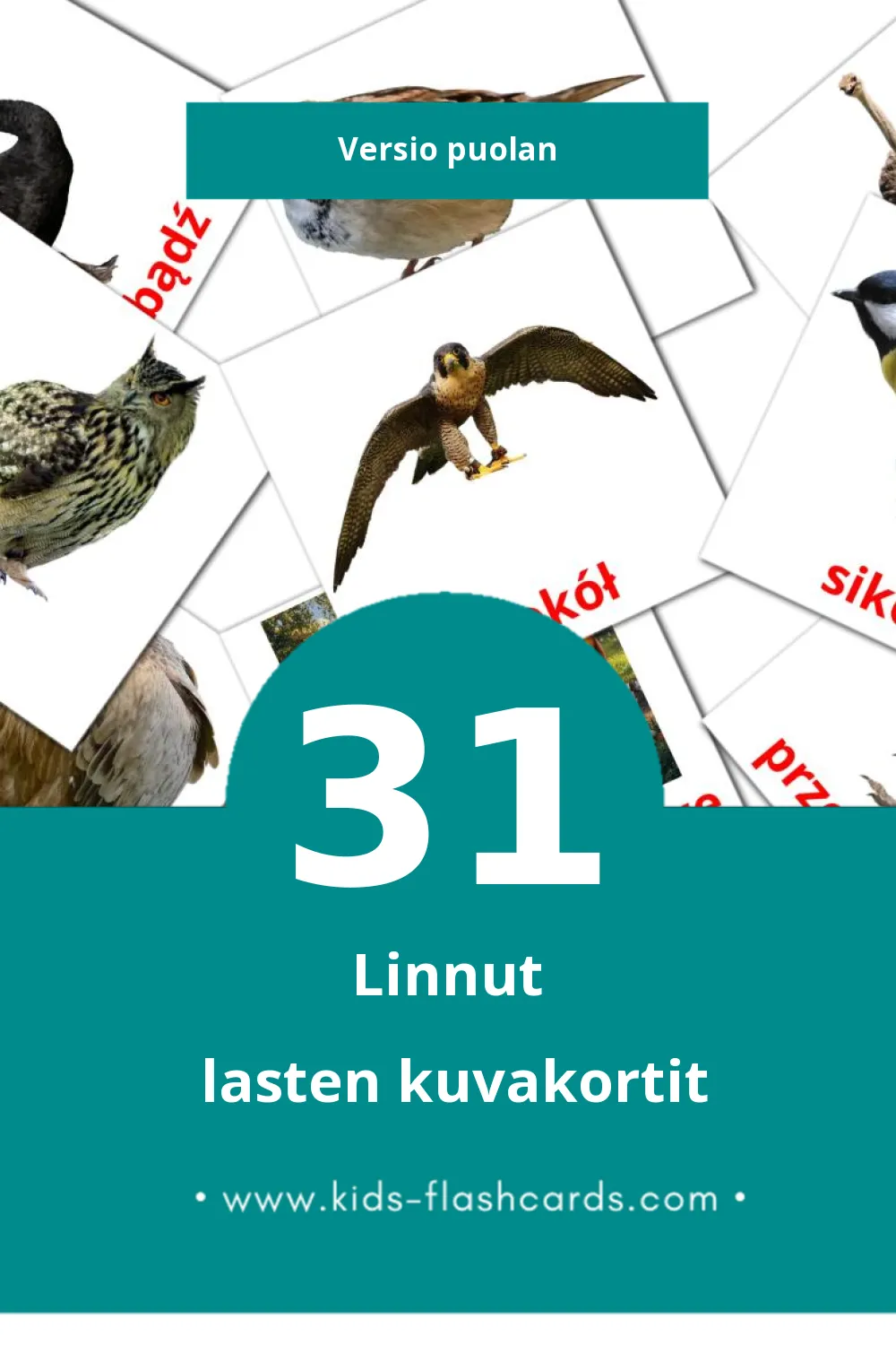 Ptaki lasten kuvakortit pikkulapsille (31 korttia Puolanksi)