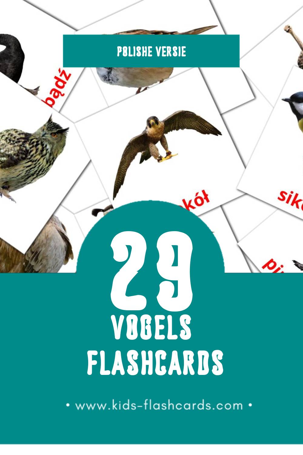 Visuele Ptaki Flashcards voor Kleuters (29 kaarten in het Polish)