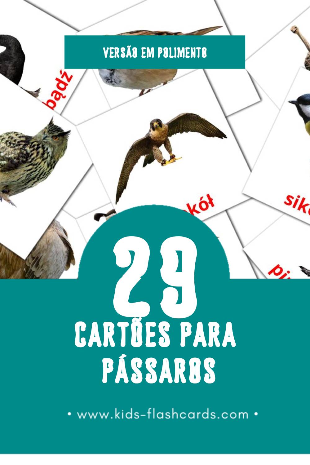 Flashcards de Ptaki Visuais para Toddlers (29 cartões em Polimento)