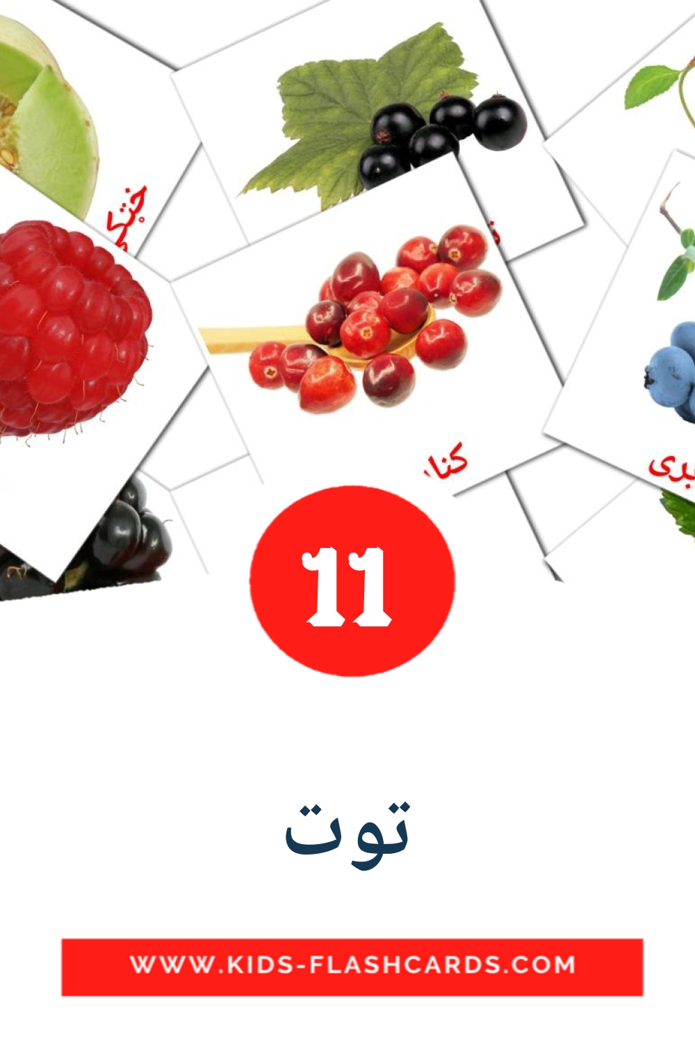 11 cartes illustrées de توت pour la maternelle en pashto