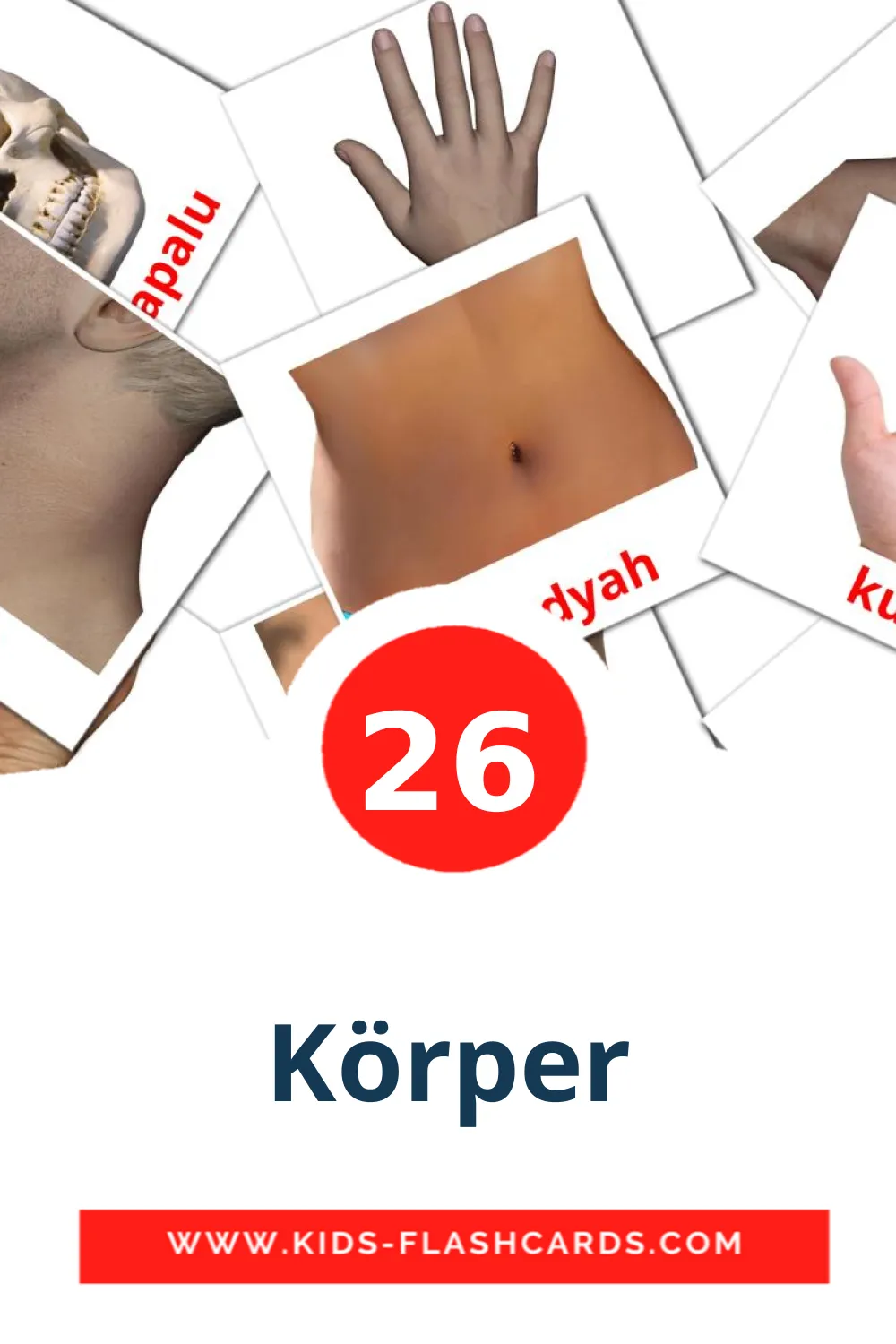 26 Körper lasten kuvakortti päiväkodille pashtoksi