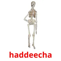 haddeecha kuvakortit