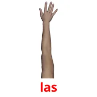 las kuvakortit
