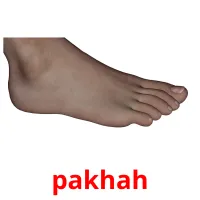 pakhah kuvakortit