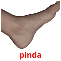 pinda kuvakortit