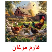 فارم مرغان bildekort