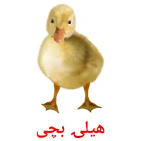 هیلۍ بچی bildekort