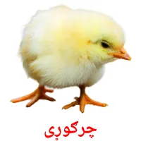 چرګوړی bildekort